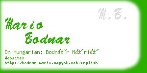 mario bodnar business card